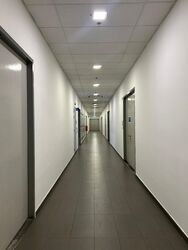 Hh @ Kallang (D13), Factory #559902141